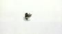 View Back Up Light Screw. Grille Screw. Liftgate Finish Panel Screw. Tapping Screw. Full-Sized Product Image 1 of 3